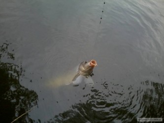 kliknutím fotku zvětšíte