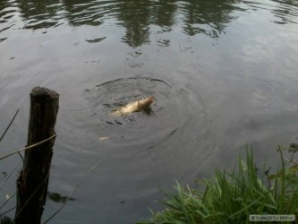kliknutím fotku zvětšíte