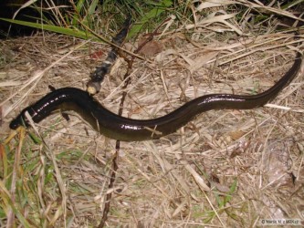 kliknutím fotku zvětšíte