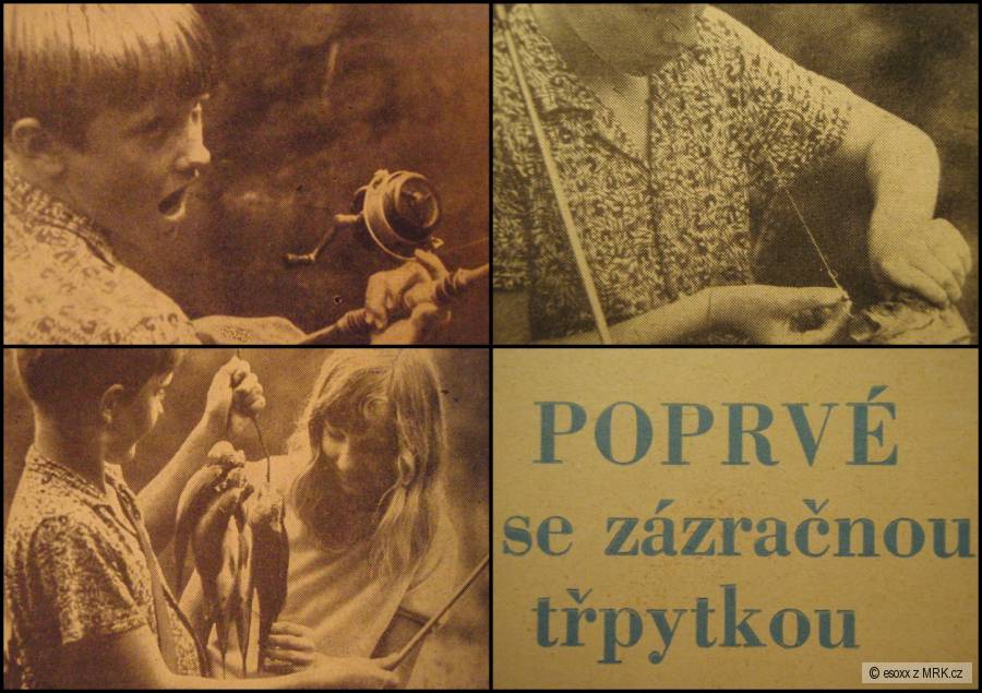 kliknutím fotku zvětšíte