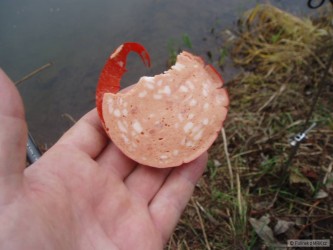 kliknutím fotku zvětšíte