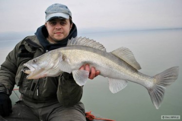 kliknutím fotku zvětšíte