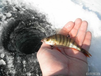 kliknutím fotku zvětšíte