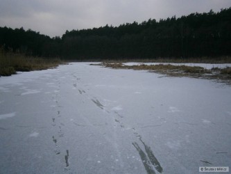 kliknutím fotku zvětšíte