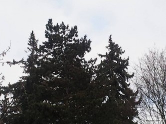 kliknutím fotku zvětšíte