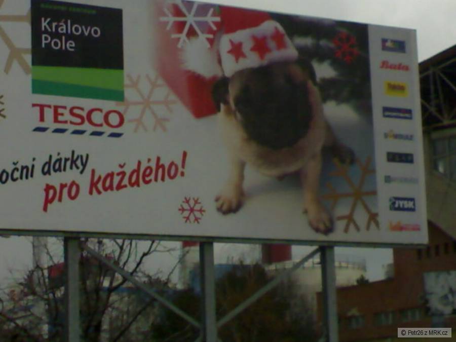 kliknutím fotku zvětšíte