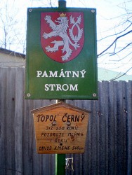 kliknutím fotku zvětšíte