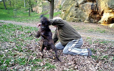 kliknutím fotku zvětšíte