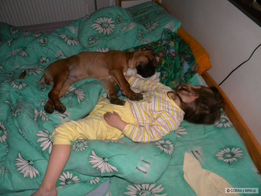 kliknutím fotku zvětšíte