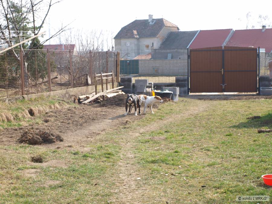 kliknutím fotku zvětšíte