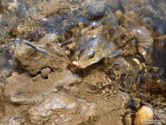 kliknutím fotku zvětšíte