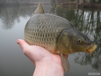 kliknutím fotku zvětšíte