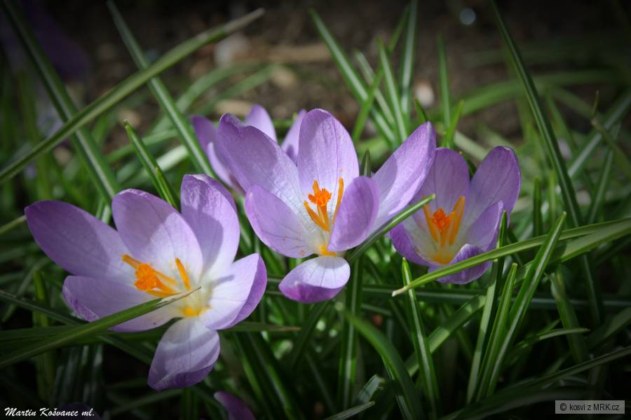 kliknutím fotku zvětšíte