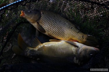 kliknutím fotku zvětšíte