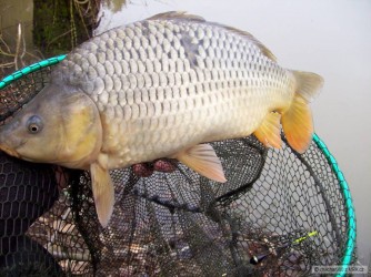 kliknutím fotku zvětšíte