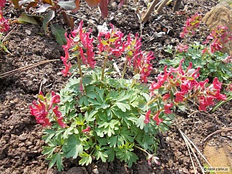 kliknutím fotku zvětšíte