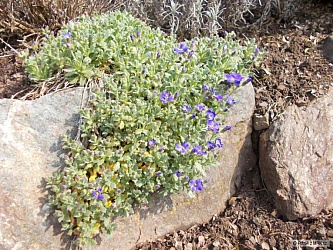 kliknutím fotku zvětšíte