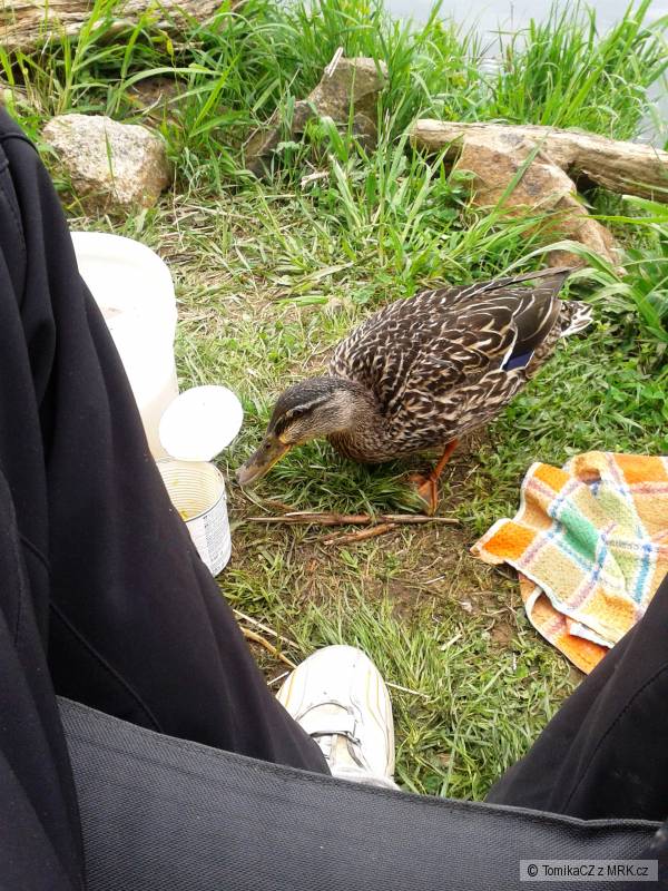 kliknutím fotku zvětšíte