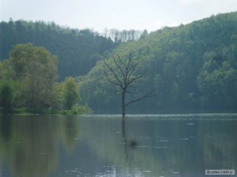 kliknutím fotku zvětšíte
