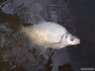 kliknutím fotku zvětšíte
