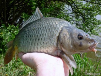kliknutím fotku zvětšíte