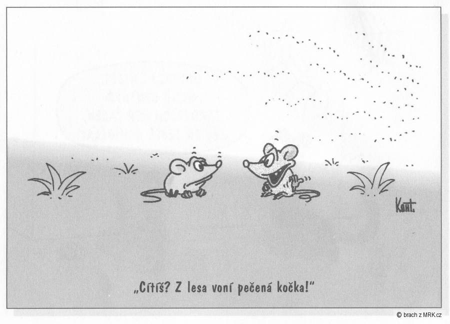 kliknutím fotku zvětšíte