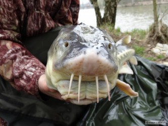 kliknutím fotku zvětšíte