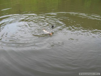 kliknutím fotku zvětšíte