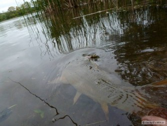 kliknutím fotku zvětšíte