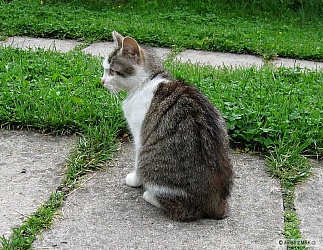 kliknutím fotku zvětšíte