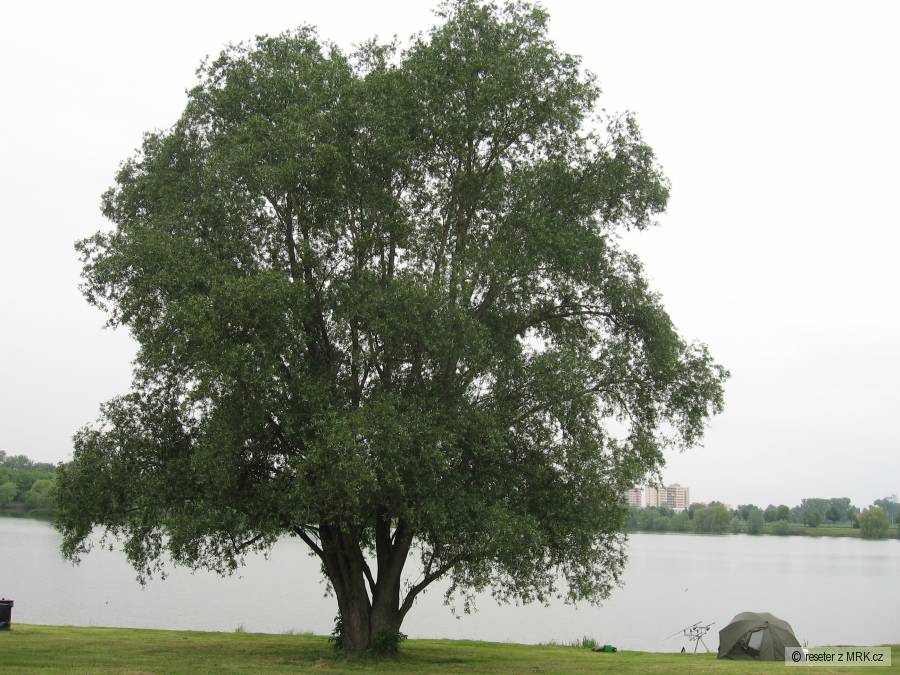 kliknutím fotku zvětšíte