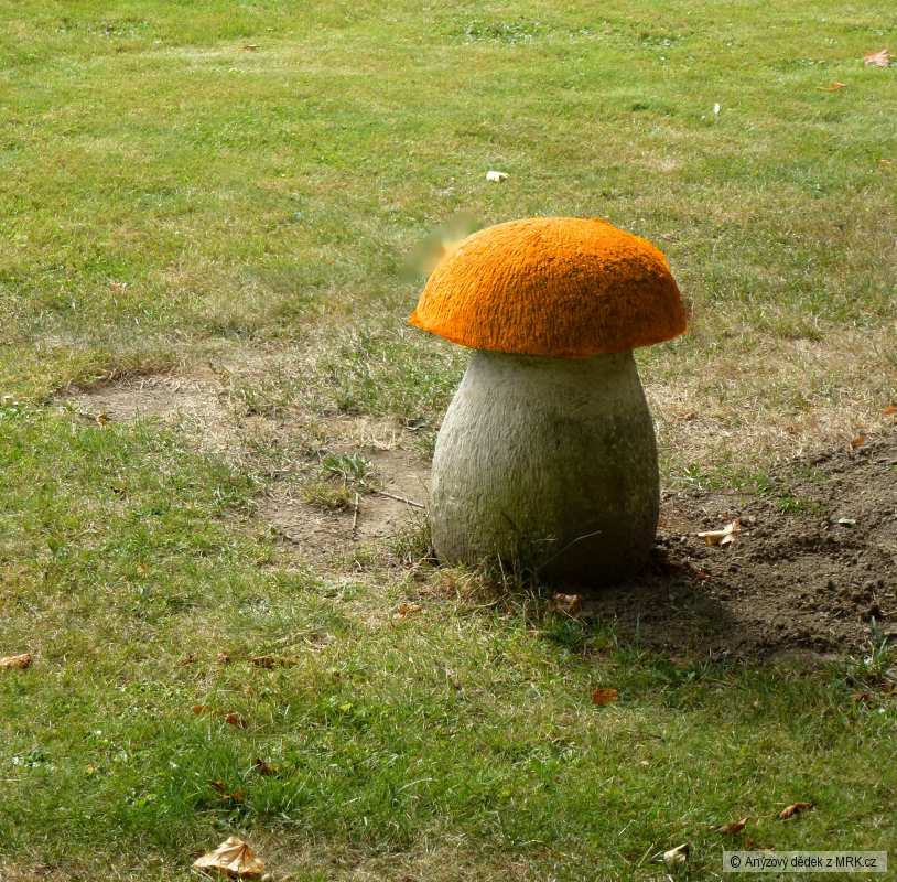 kliknutím fotku zvětšíte