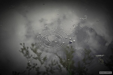 kliknutím fotku zvětšíte