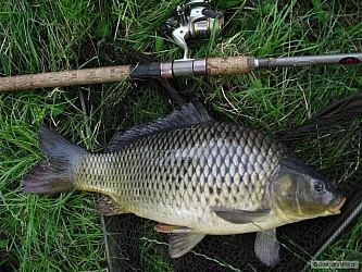 kliknutím fotku zvětšíte