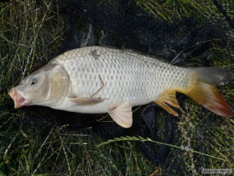 kliknutím fotku zvětšíte