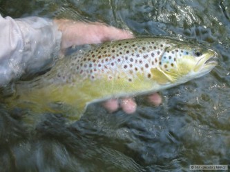 kliknutím fotku zvětšíte