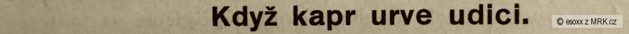 kliknutím fotku zvětšíte