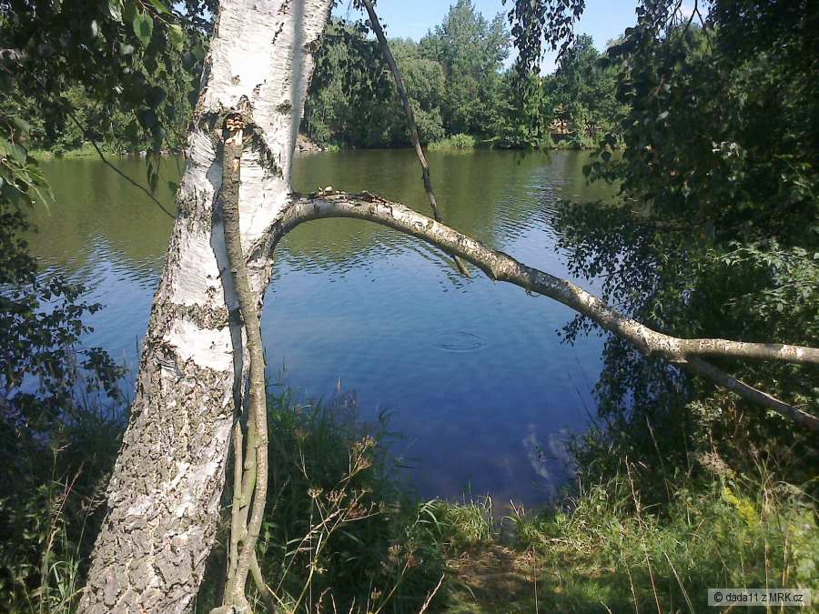 kliknutím fotku zvětšíte