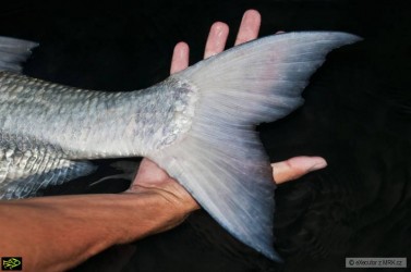 kliknutím fotku zvětšíte