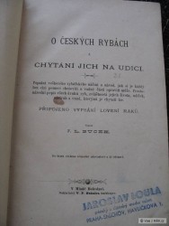 kliknutím fotku zvětšíte