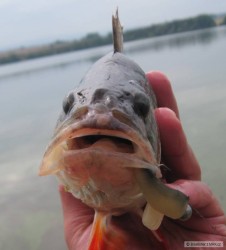 kliknutím fotku zvětšíte