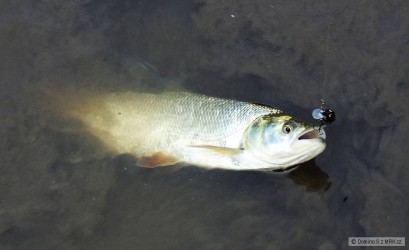 kliknutím fotku zvětšíte