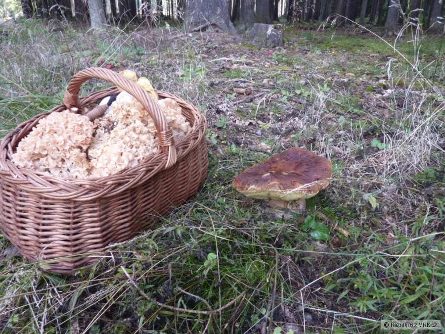 kliknutím fotku zvětšíte