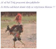 kliknutím fotku zvětšíte