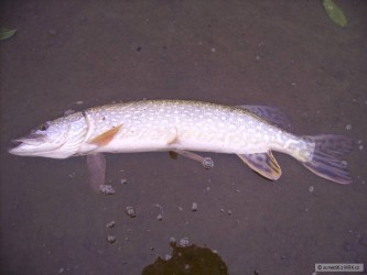 kliknutím fotku zvětšíte