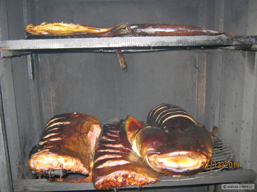 kliknutím fotku zvětšíte