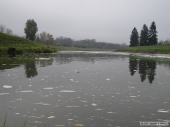 kliknutím fotku zvětšíte