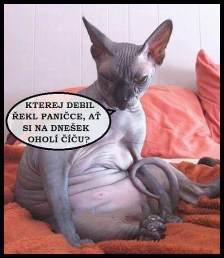 kliknutím fotku zvětšíte