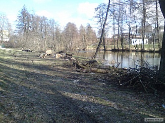 kliknutím fotku zvětšíte