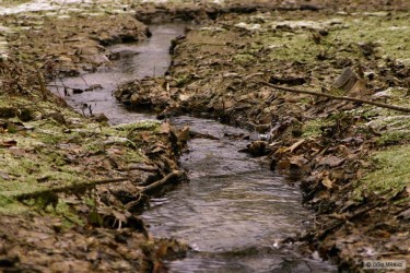 kliknutím fotku zvětšíte